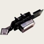 Tête d'impression DX4 Golden de Roland SV LEF2-300 référence 6000005180